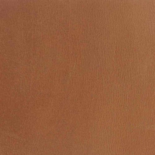 Morceau cuir croupon - cuir,