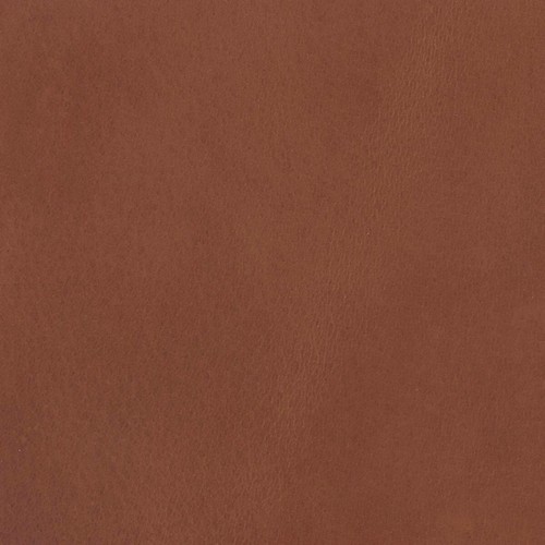Morceau cuir croupon - cuir,