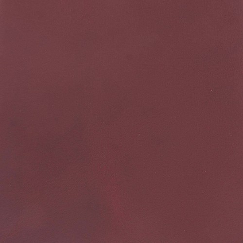 Morceau cuir croupon - morceau, de